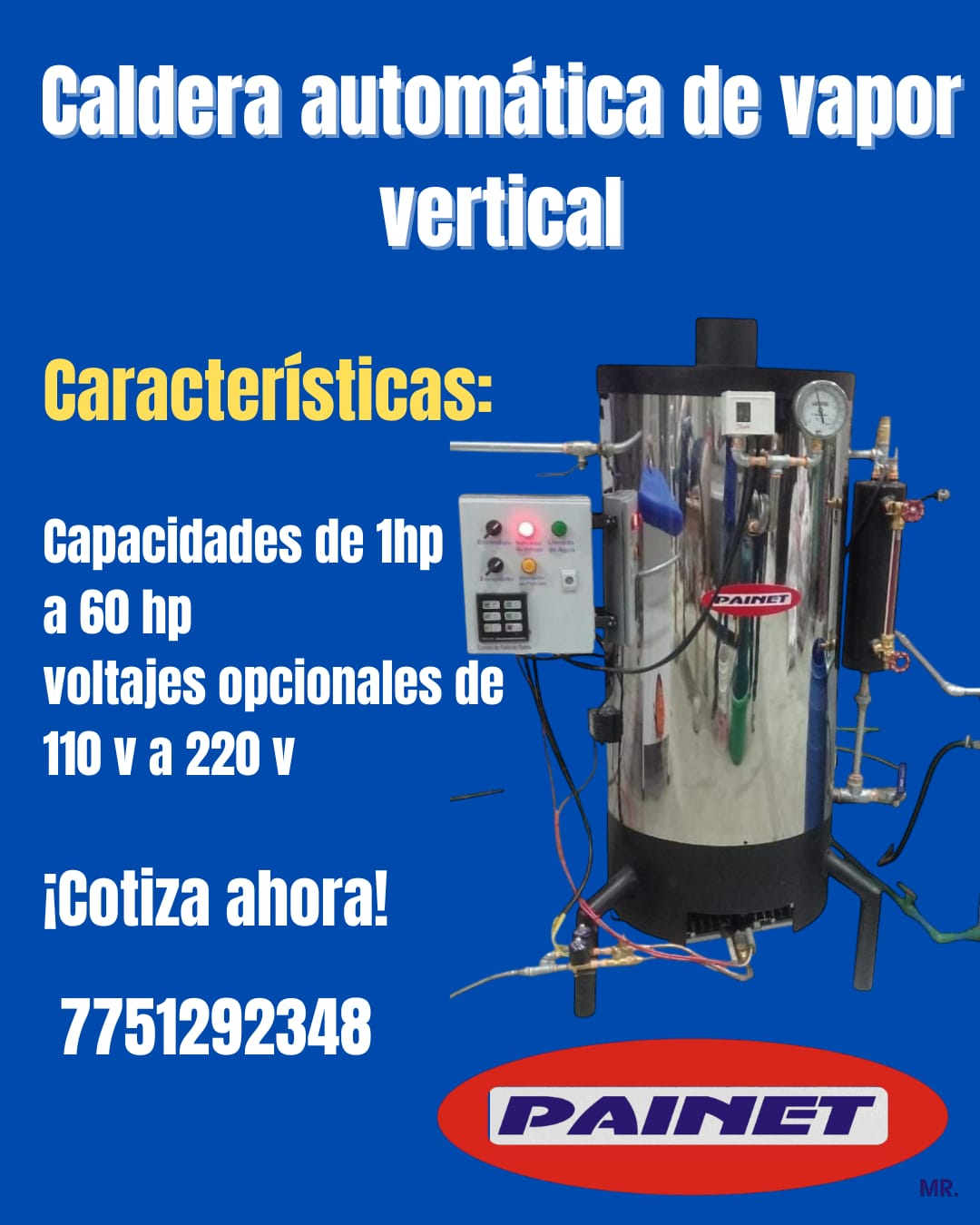 Caldera automática de vapor vertical PAINET